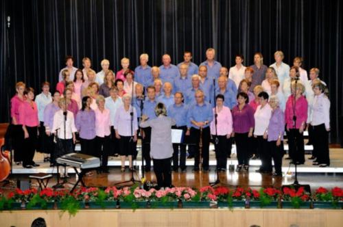 Obernai chante sous de nouvelles couleurs.