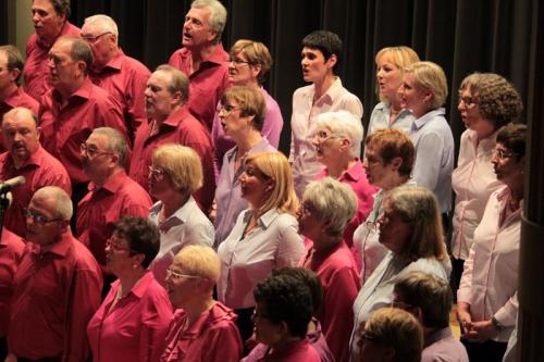 10-Obernai Chante:les Altis.